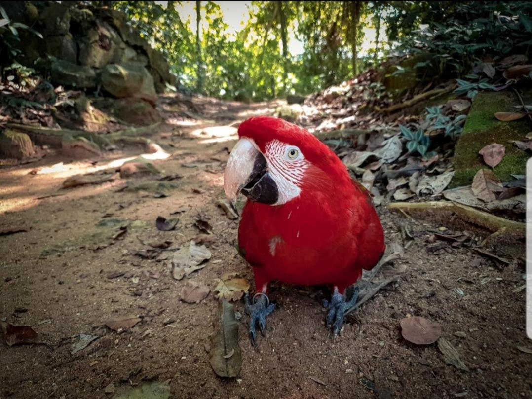 Recanto Da Gipoia アングラドスレイス エクステリア 写真