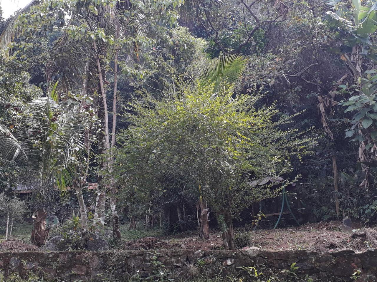 Recanto Da Gipoia アングラドスレイス エクステリア 写真